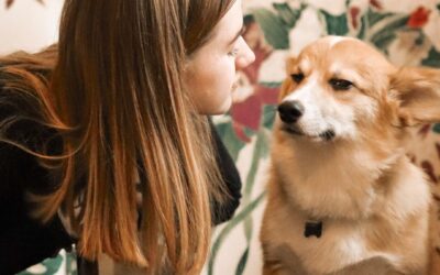 The guide map for dog lovers to discover the food in Hong Kong.