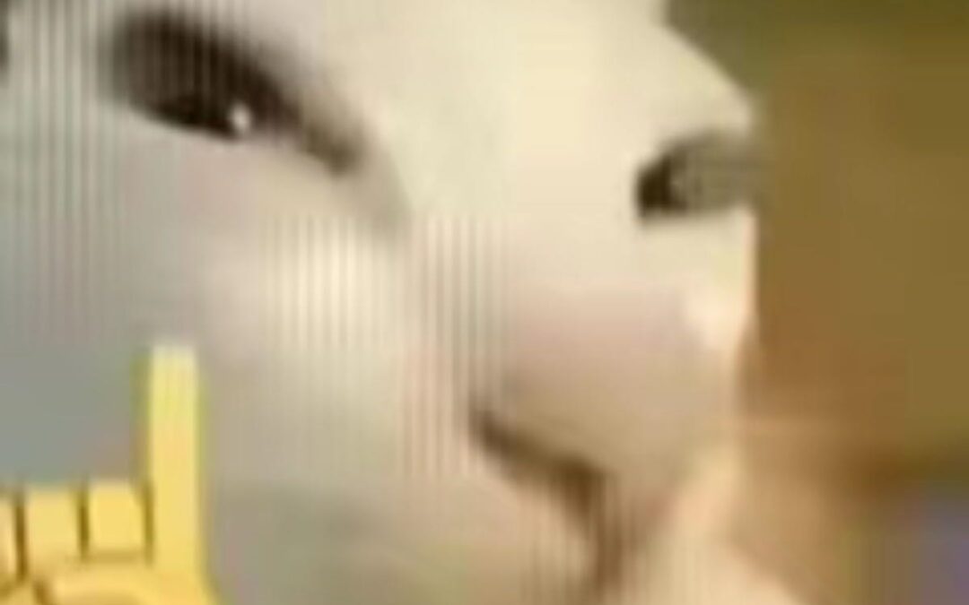 Top 5 Best Buys Since Coming to Hong Kong