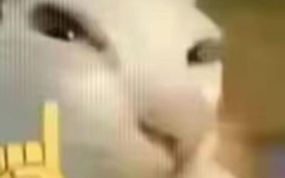 Top 5 Best Buys Since Coming to Hong Kong