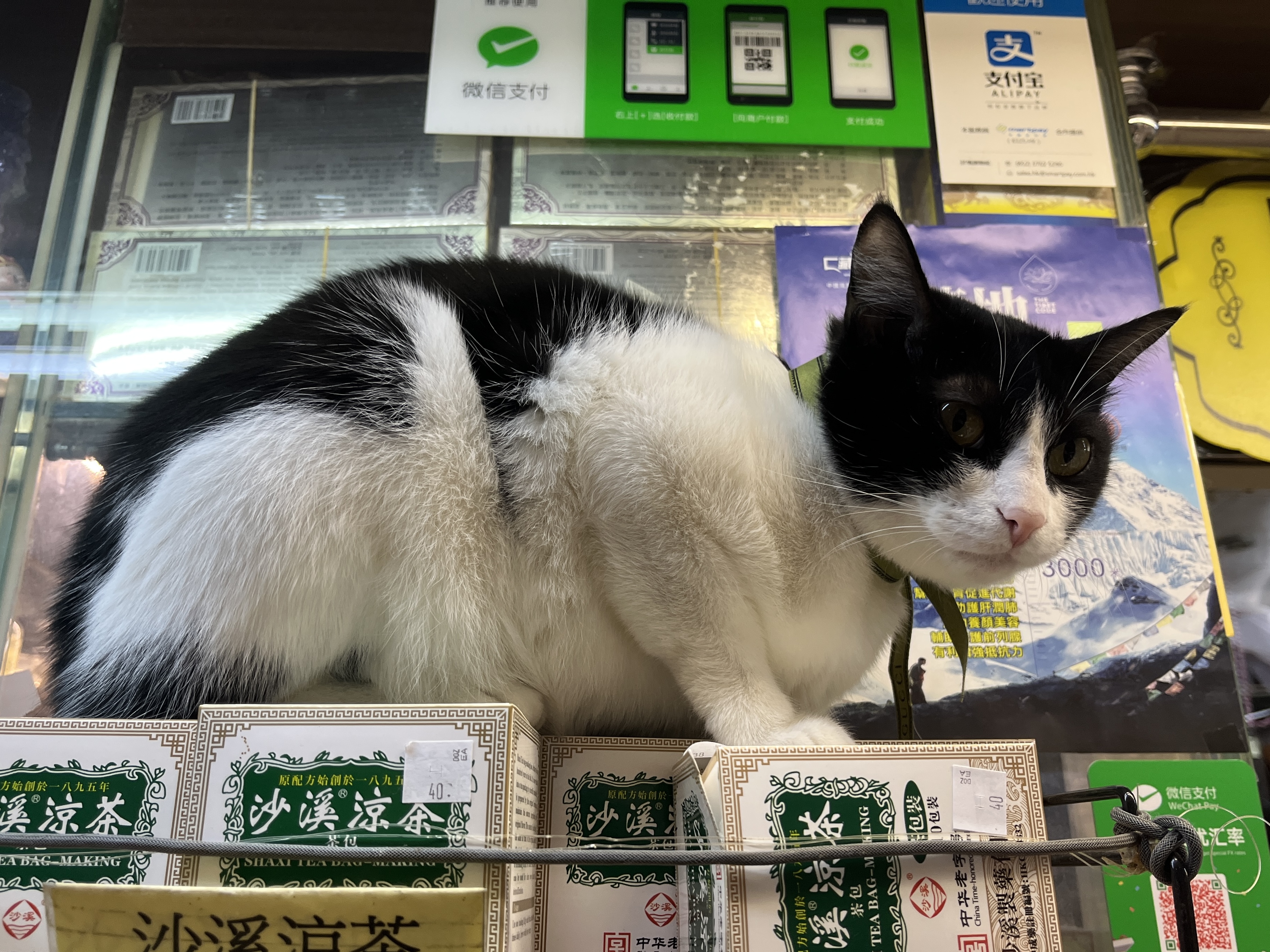 Rachel Chan’s Weekly Assignment 2 – Embedded Personal Story