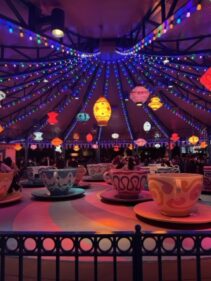 Picture taken by Angel in Disney Land