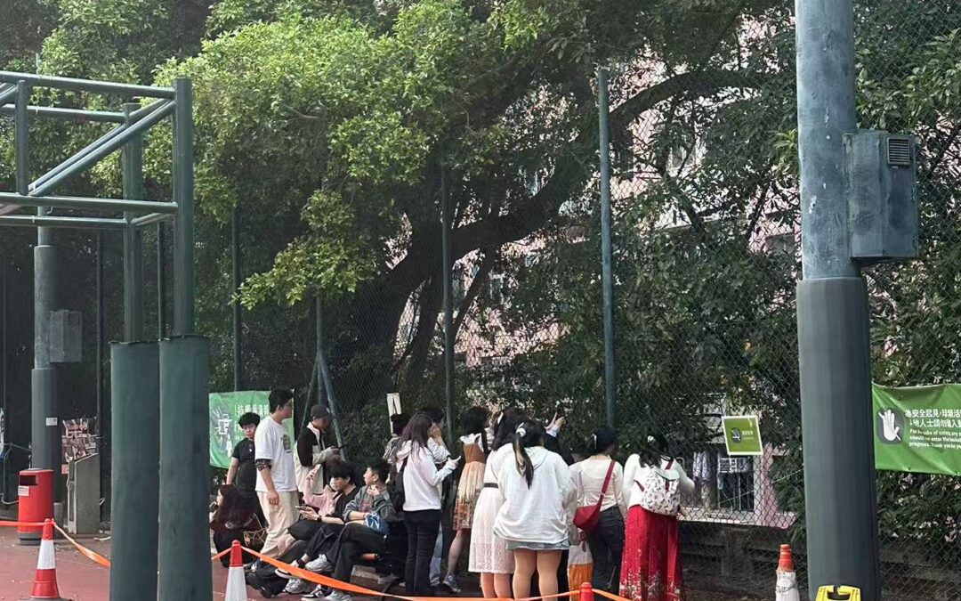 An unexpected must-visit spot in Kennedy Town