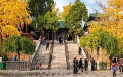 Childhood memory at the Arctic Pavilion