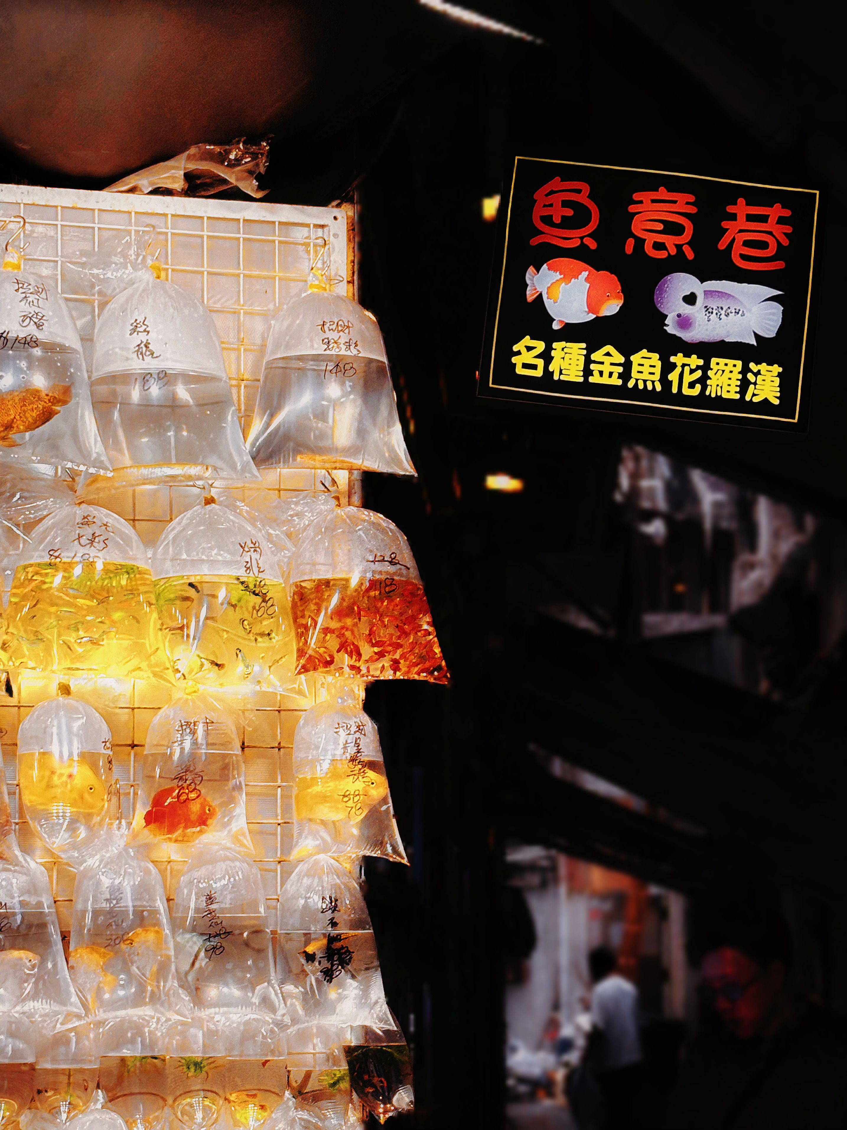 Goldfish Street: Hong Kong’s Vibrant Aquarium Market
