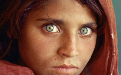 Rachel Chan Testing Embed Tools