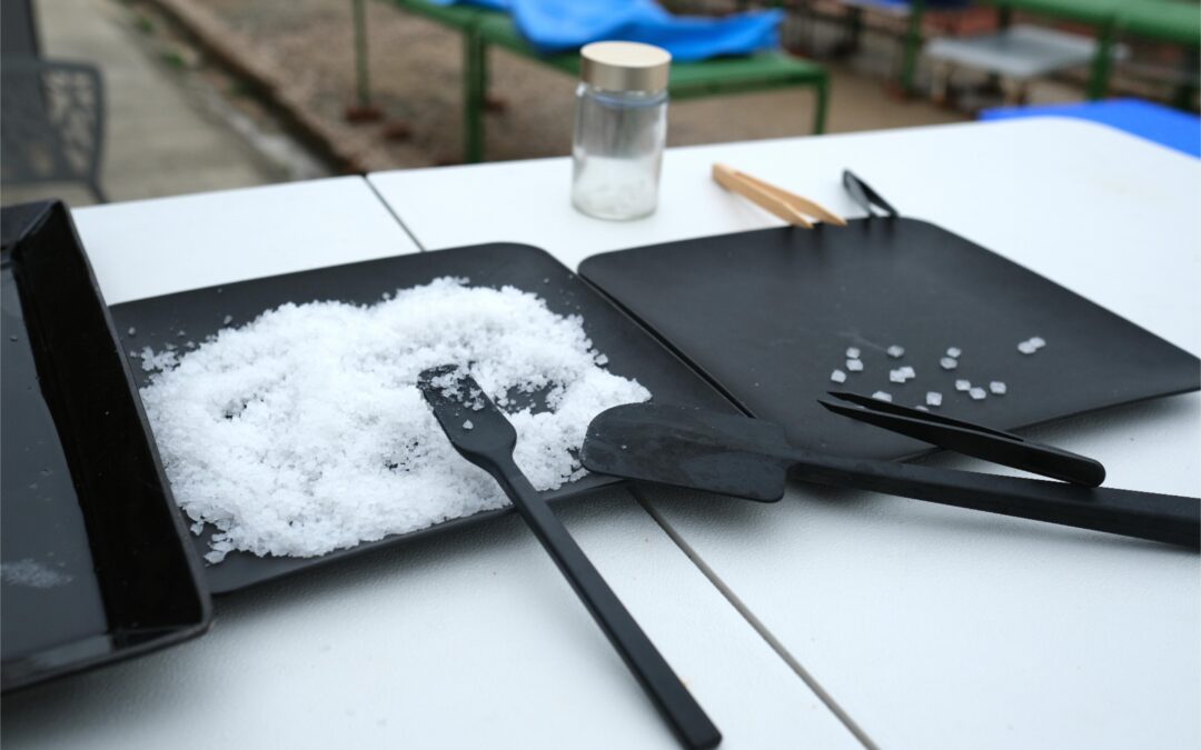 Yim Tin Tsai Final Project