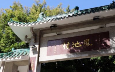 Protected: Rachel Chan’s Final Project_Storyboard