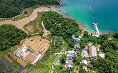 Yim Tin Tsai Salt Production