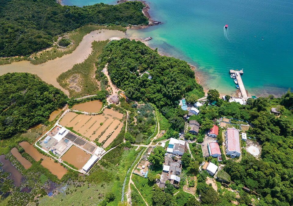 Yim Tin Tsai Salt Production