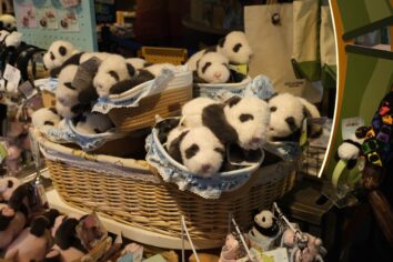 Close up to the goods