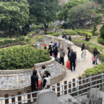 The Choice of Letting Your Loved One Go: Behind Hong Kong’s Push for Green Burials