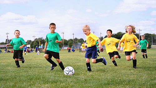 Sports Test
